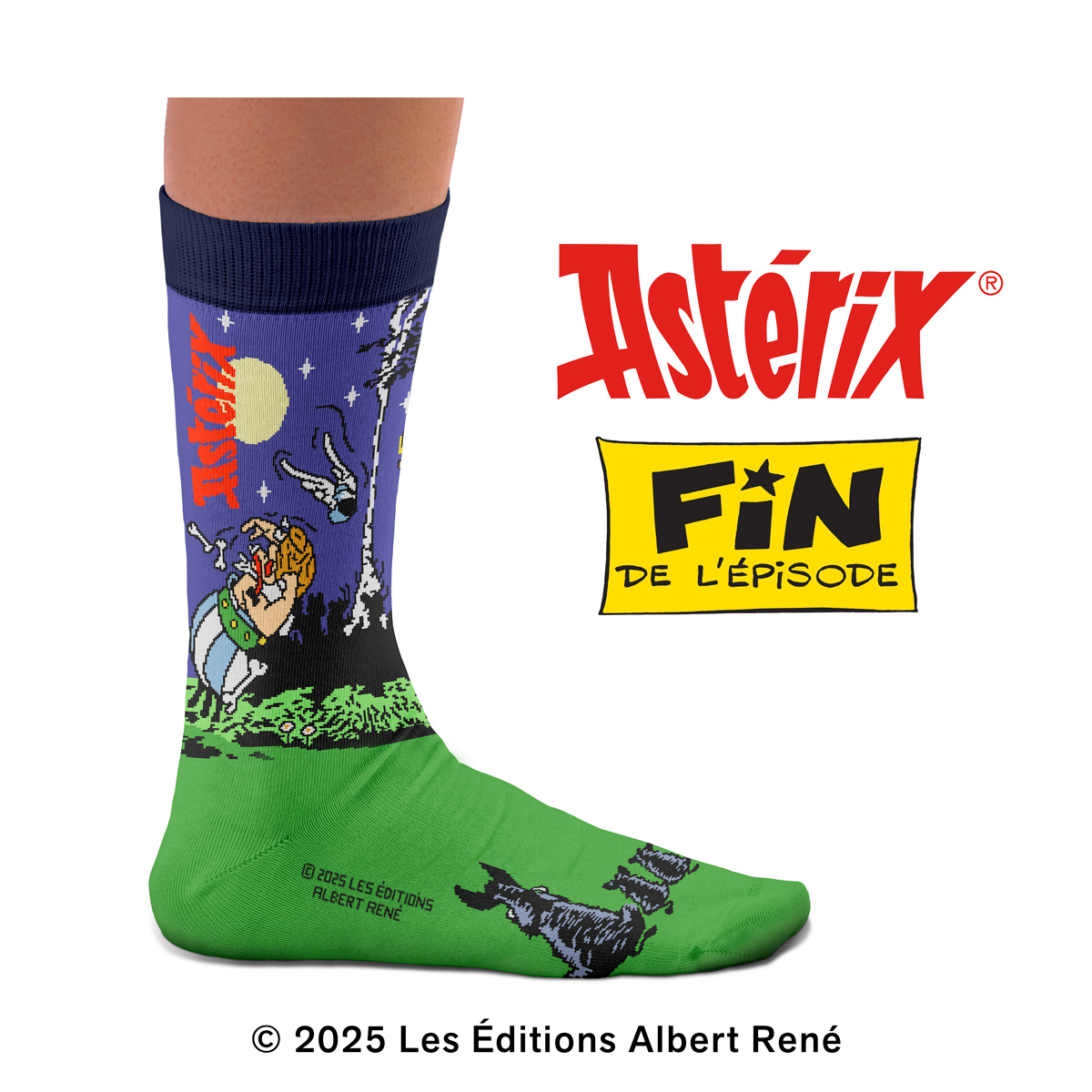 Asterix & Obelix Banquet Socks